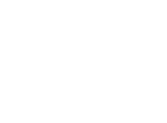 loader image